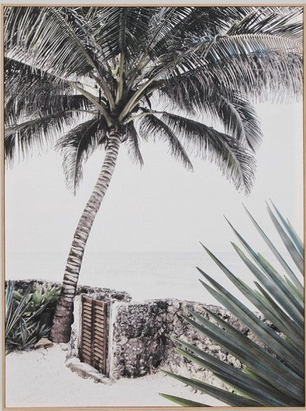 Tropical Home