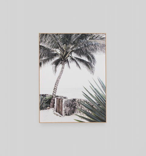Tropical Home