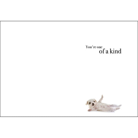 Adorable Birthday Card