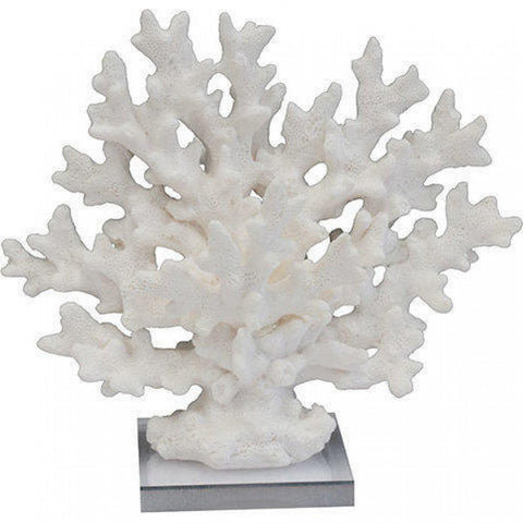 White Coral