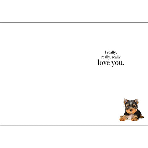 I want you to know Greeting Card
