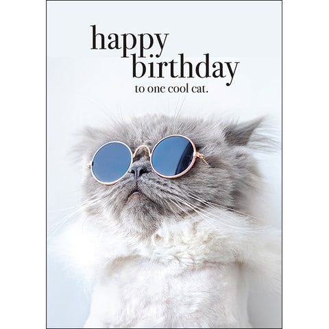 Cool Cat Greeting Card