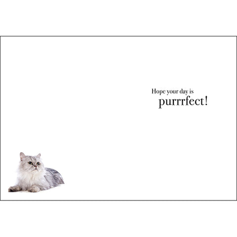 Cool Cat Greeting Card