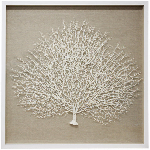 Framed Coral Tree