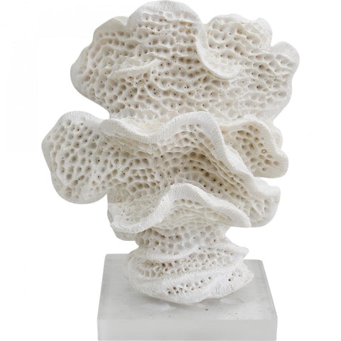 Sea Sponge Coral