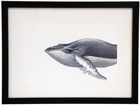 Whale Print