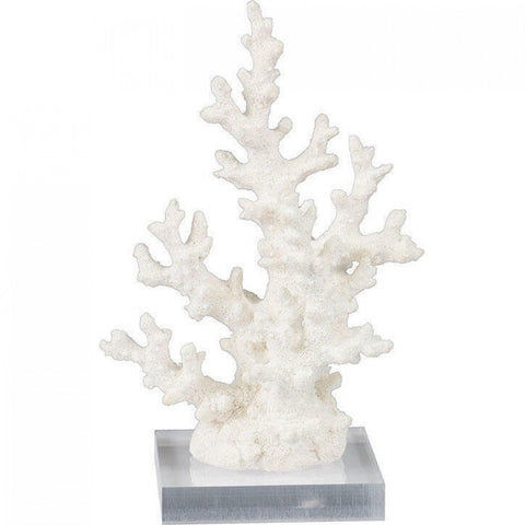 Small White Coral