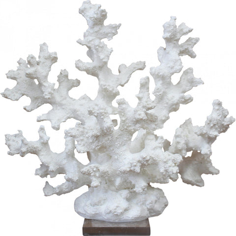 White Coral