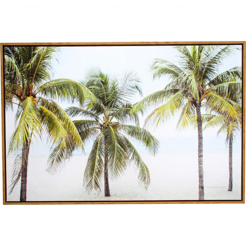 Palm View