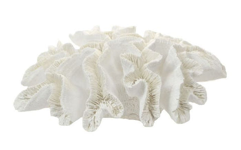 Large Anemone Coral