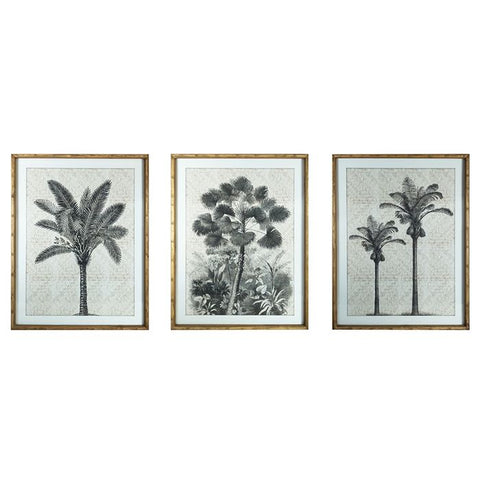 Framed Tropical Palm A