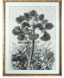 Framed Tropical Palm B
