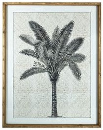 Framed Tropical Palm C